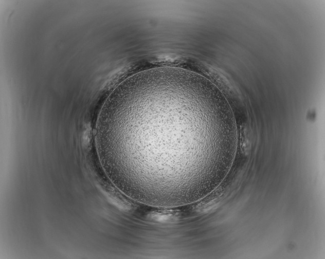 X0000090990563200708091521