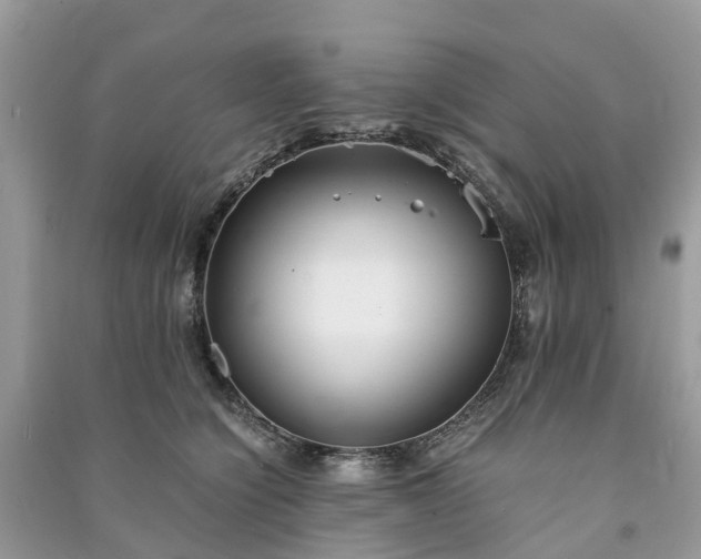 X0000090990564200708091521