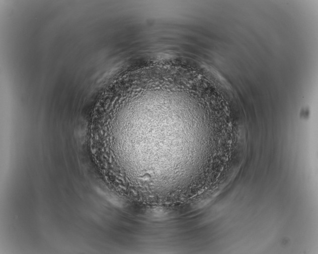 X0000090990565200708091521