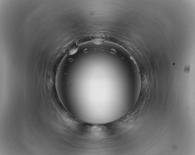 X0000090990566200708091521