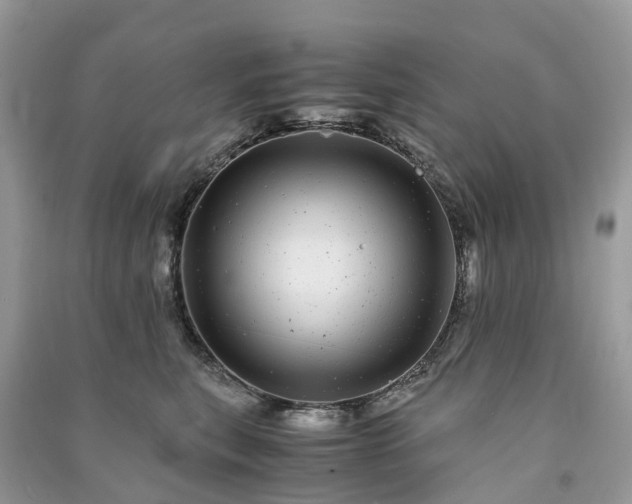 X0000090990567200708091521