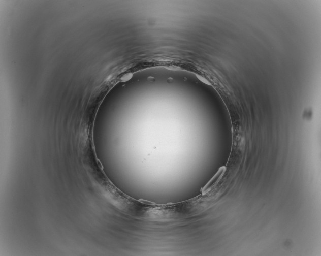 X0000090990568200708091521