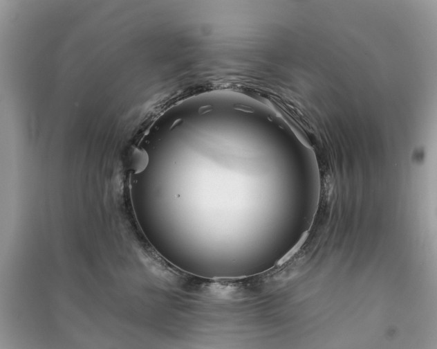 X0000090990570200708091521