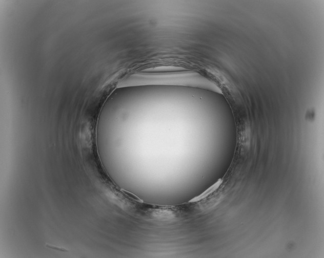 X0000090990572200708091521