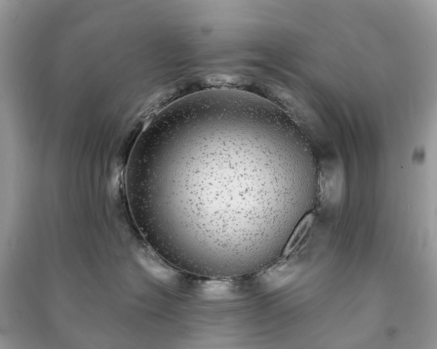 X0000090990574200708091521