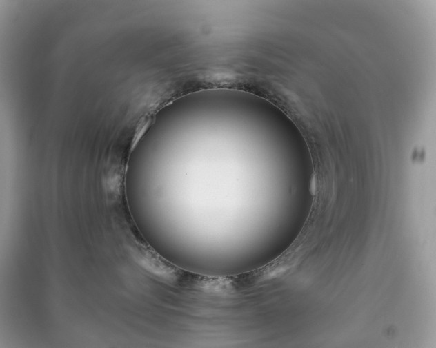 X0000090990576200708091521