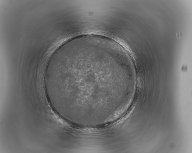 X0000090990577200708091521