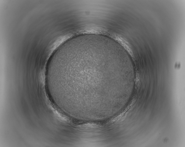 X0000090990578200708091521