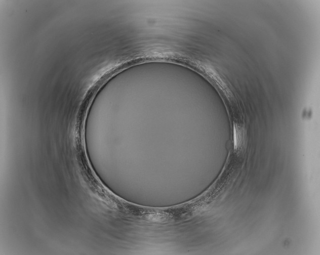 X0000090990579200708091521