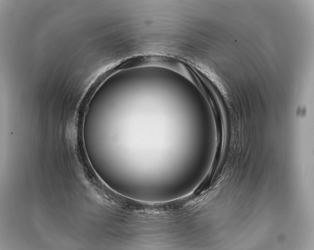 X0000090990580200708091521