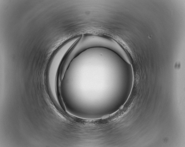 X0000090990581200708091521