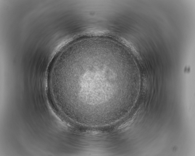 X0000090990582200708091521