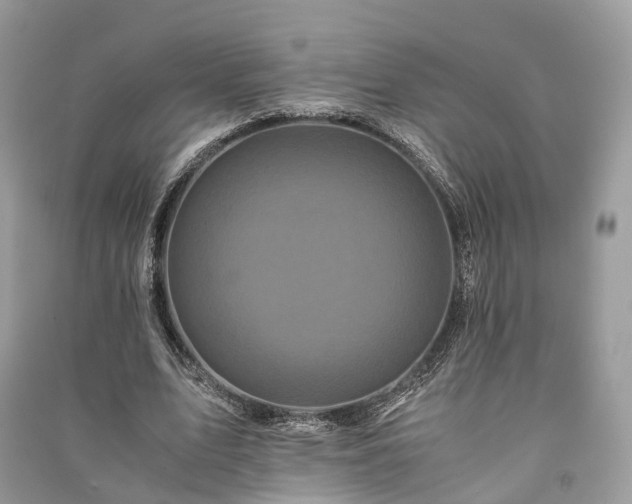 X0000090990583200708091521