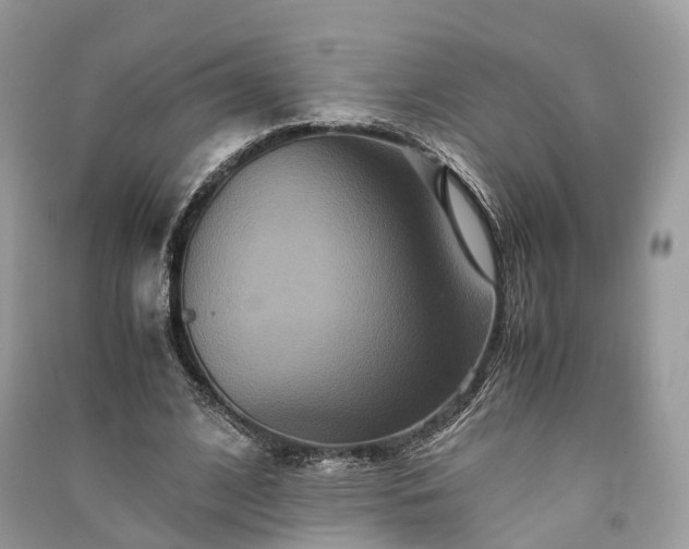 X0000090990584200708091521