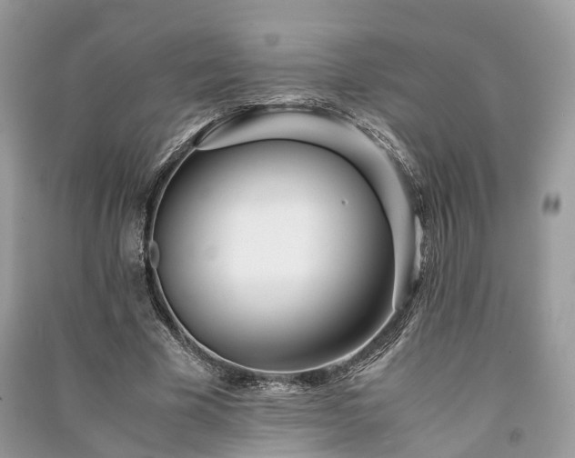 X0000090990585200708091520