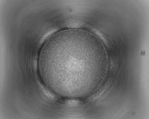 X0000090990586200708091520