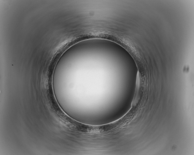 X0000090990587200708091520