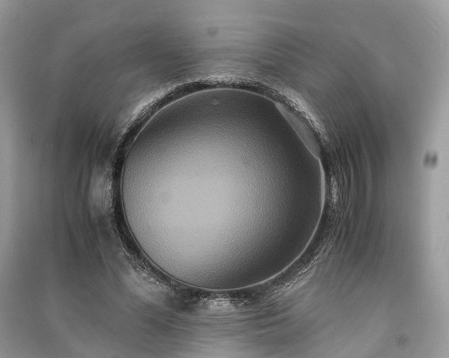 X0000090990588200708091520