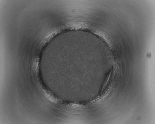 X0000090990590200708091520