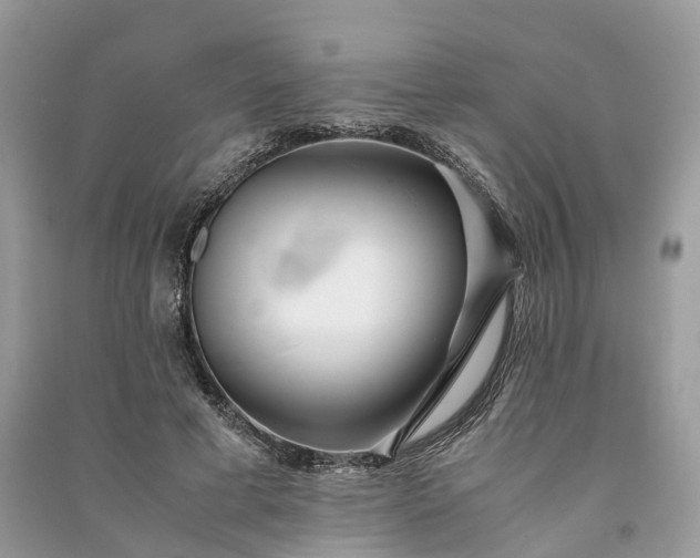 X0000090990593200708091520