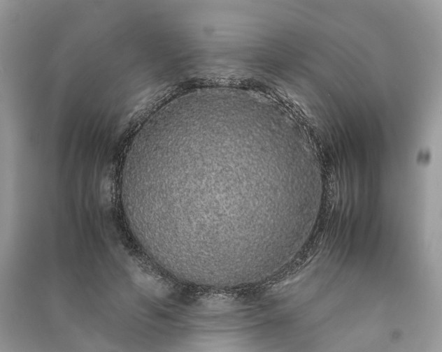 X0000090990594200708091520