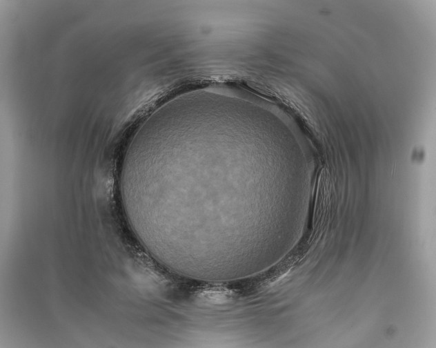 X0000090990595200708091520