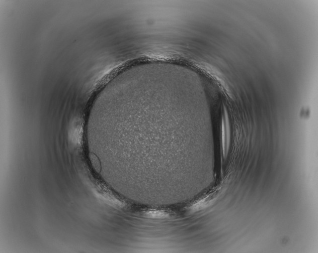 X0000090990596200708091520