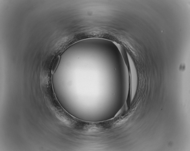 X0000090990597200708091520