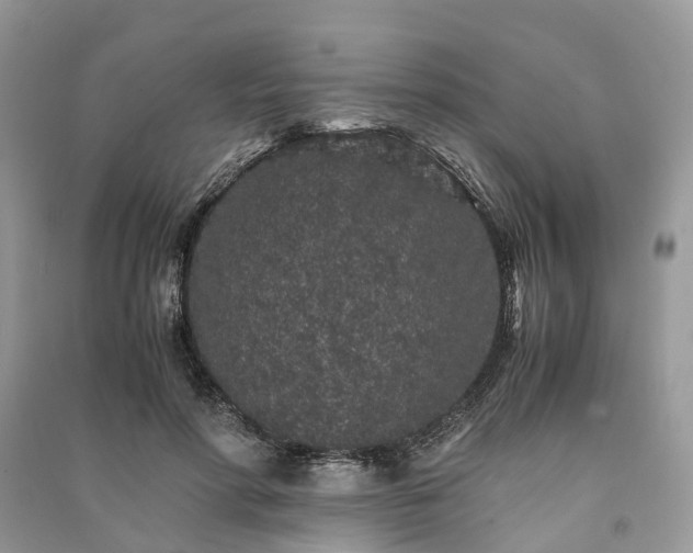 X0000090990598200708091520