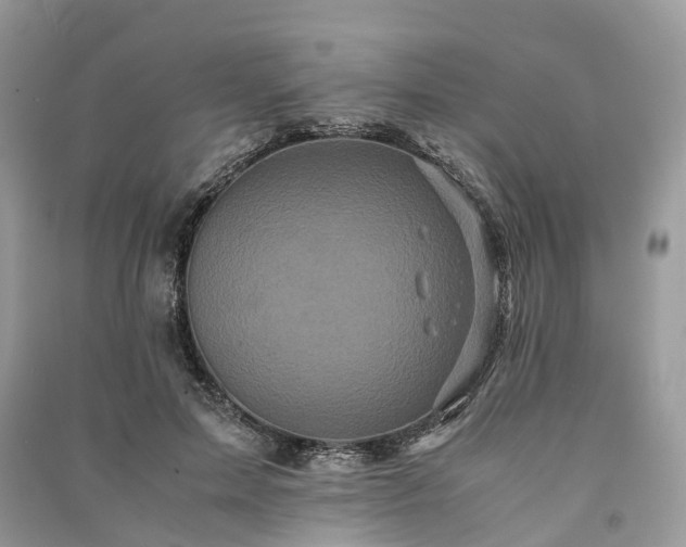 X0000090990599200708091520