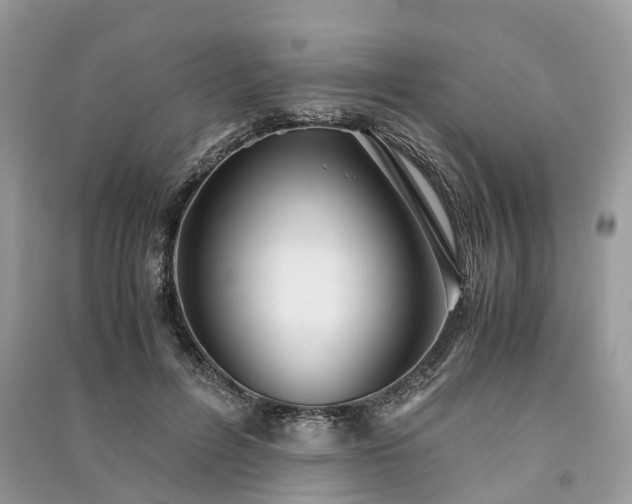 X0000090990600200708091520