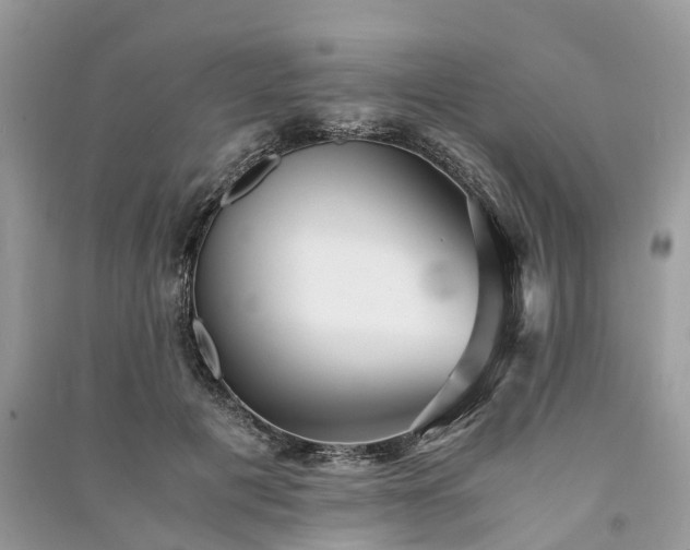 X0000090990601200708091520