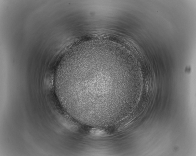 X0000090990602200708091520