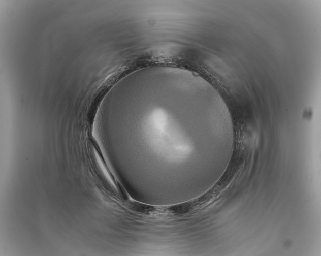 X0000090990603200708091520