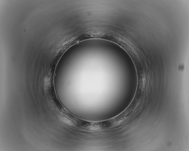 X0000090990604200708091520