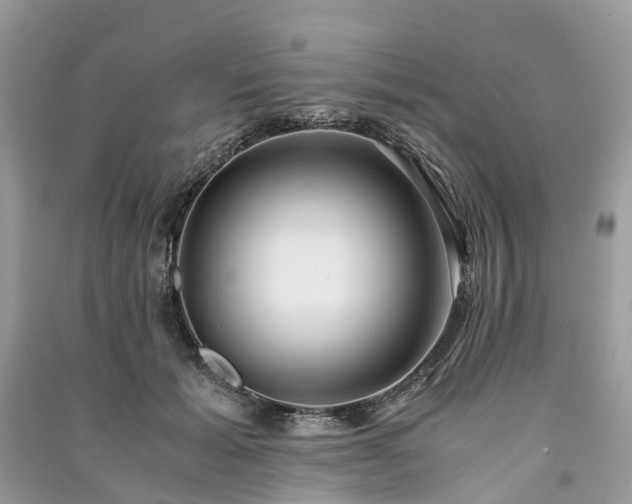 X0000090990605200708091520