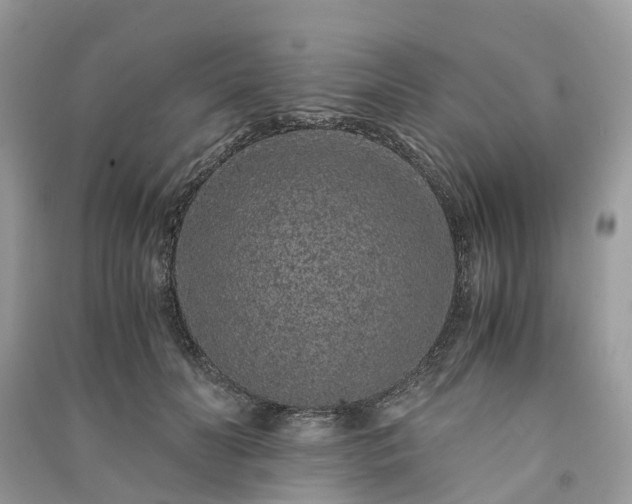 X0000090990606200708091520