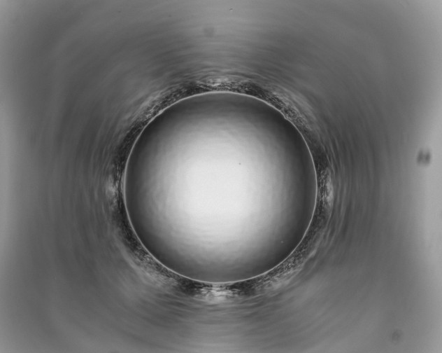 X0000090990607200708091520