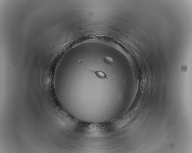 X0000090990608200708091520