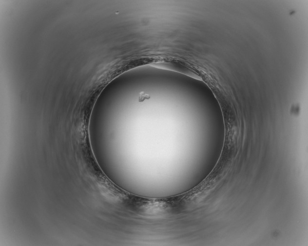 X0000090990609200708091520