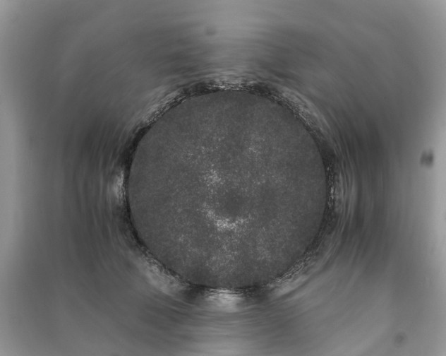 X0000090990610200708091520