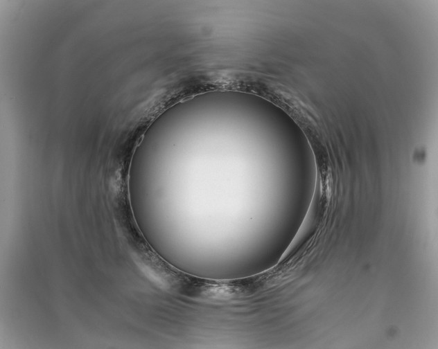 X0000090990611200708091520