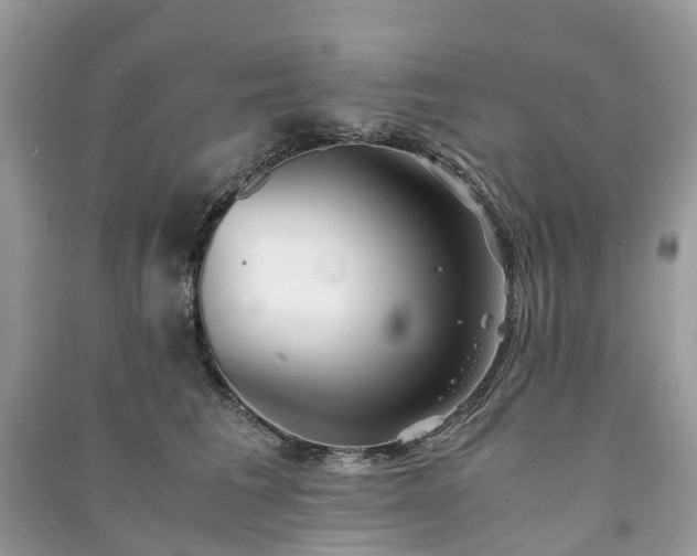 X0000090990613200708091520