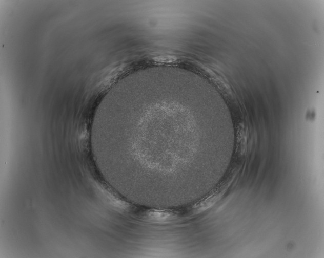 X0000090990614200708091520