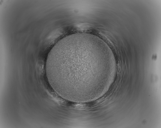 X0000090990615200708091520