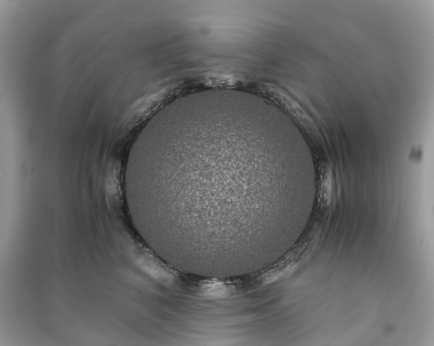 X0000090990616200708091520