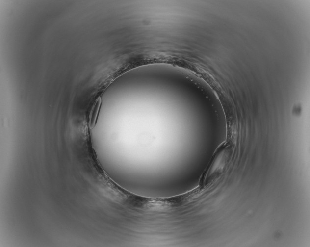 X0000090990617200708091520