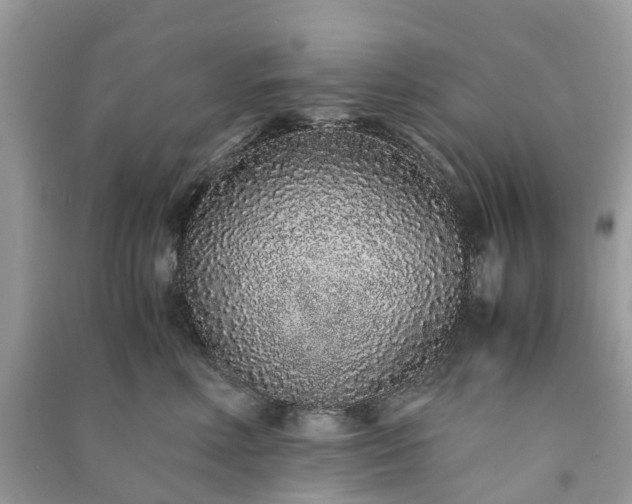 X0000090990618200708091520