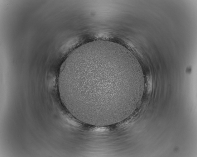 X0000090990619200708091520