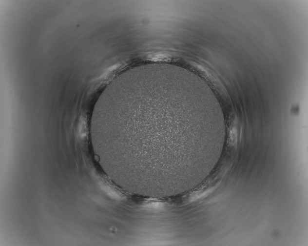 X0000090990620200708091520